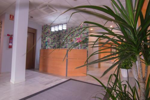 Foto general de Hotel Isla Menor