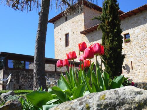 Foto general de Posada Torre Palacio La Taxuela