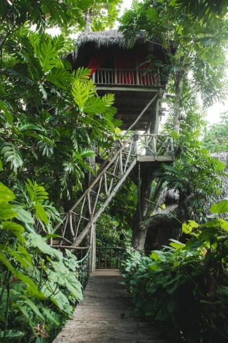 Foto general de Dominican Tree House Village