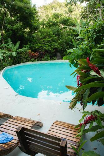 Foto general de Dominican Tree House Village