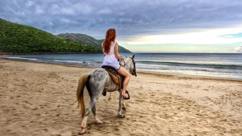 Foto general de Dominican Tree House Village