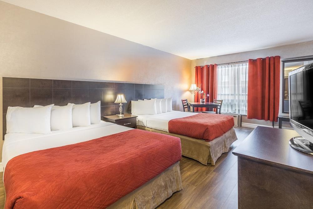 Foto de una habitación de Hotel Universel