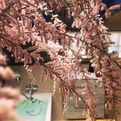 Foto general de Casas y chalets Le Petit Nid d&amp;#039;amour