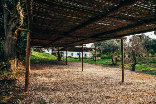 Foto general de Bed-and-Breakfast Moinhos do Paneiro