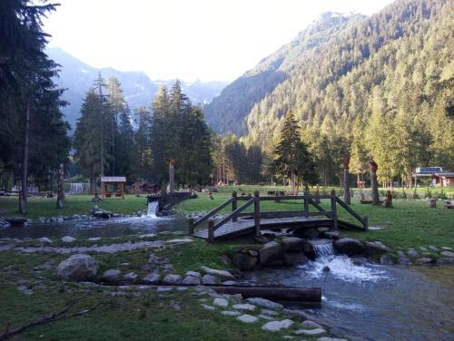 Foto general de Hotel Pineta