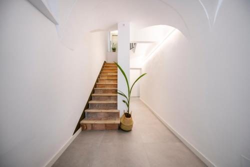 Foto de una habitación de Apartamentos turísticos Can Planeses Banyoles