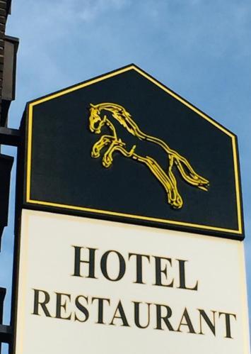 Foto general de H&amp;amp;S Hotel Wildpferd
