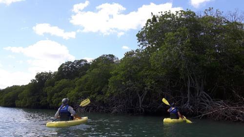 Foto general de Tropic ecolodge