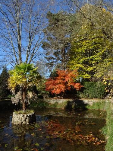 Photo – Hotel Jardin de Carrejo