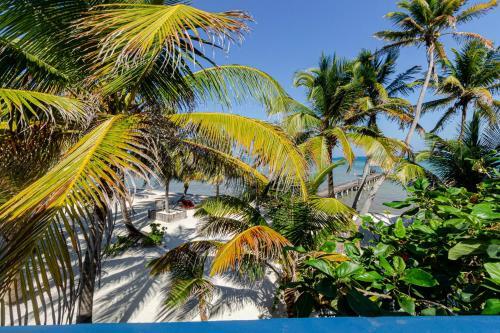 Foto general de Complejo White Sands Cove