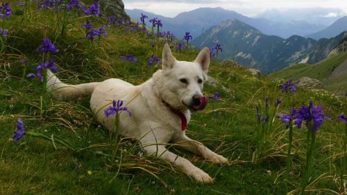 Foto de una habitación de Apartamentos Casa Rivera