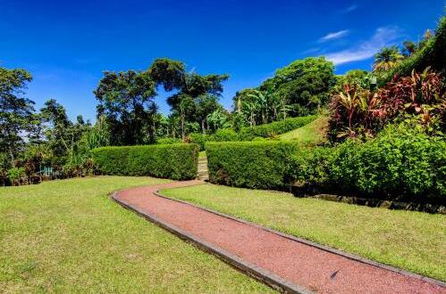 Photo – Hotel Mango Valley