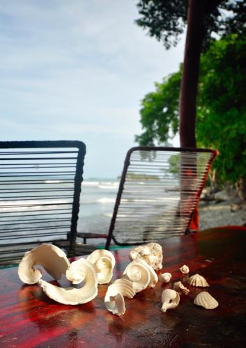 Photo – Howler Monkey Hotel