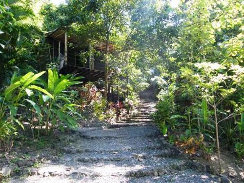 Foto general de Blue Jay Lodge