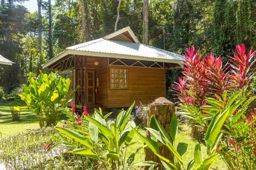 Foto de una habitación de La Magia Bungalows