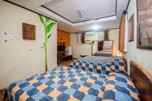 Foto de una habitación de Cadillac Rock Beach Hotel