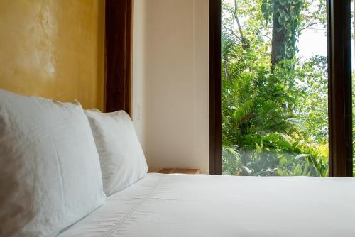 Foto general de Complejo Arenas Del Mar Beachfront &amp;amp; Rainforest Resort