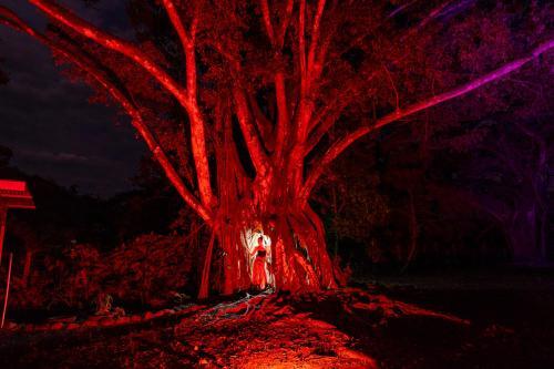 Foto general de Tribe Boutique Hotel - Adults Only