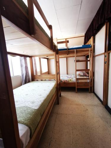 Foto de una habitación de Toucan Hostel