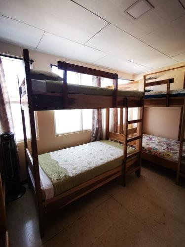 Foto de una habitación de Toucan Hostel