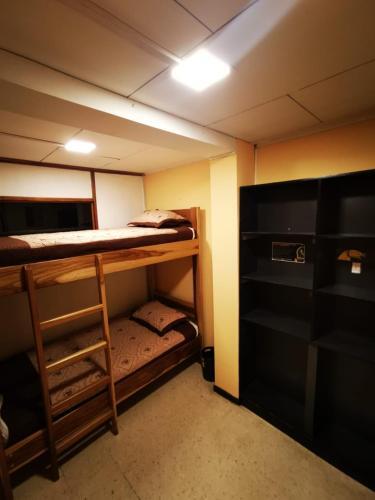 Foto de una habitación de Toucan Hostel
