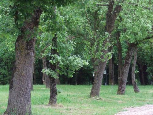 Foto general de Camping Vila de Sarria