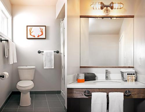 Room – Hotel Basecamp Tahoe City