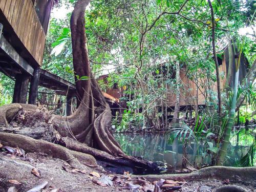Foto general de Hotel Kangaroo Rio Dulce