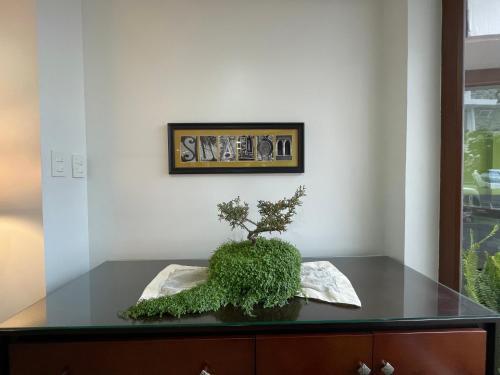 Foto general de Hotel Shalom