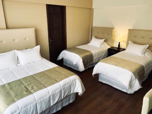 Foto general de Hotel Domani
