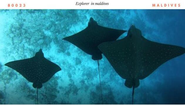 Foto de Arianna Dhangethi