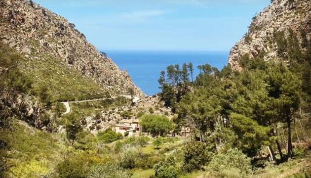 Foto de Finca Ses Fontanelles