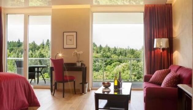 Foto de Schwitzer&apos;s Hotel am Park