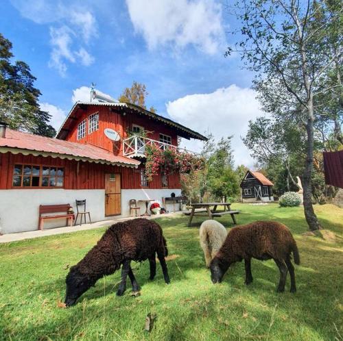 Foto de una habitación de Casas y chalets Mountain Cabin with Volcano Views