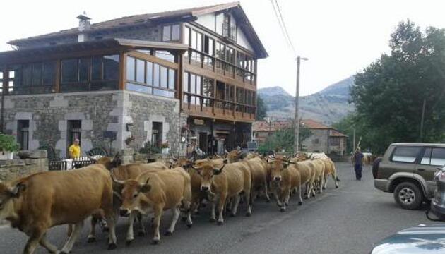 Foto de Posada El Mirador