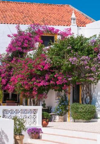 Foto del exterior de Rio Arade Algarve Manor House