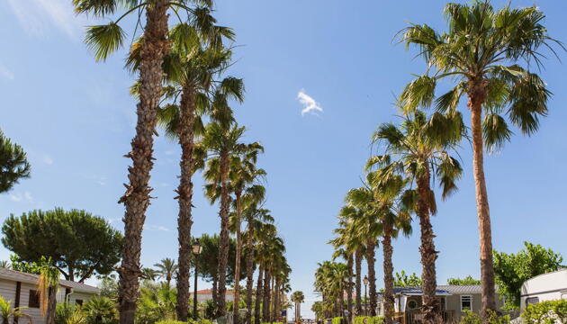 Foto de Camping Estival Vendrell Platja
