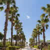 Foto de Camping Estival Vendrell Platja
