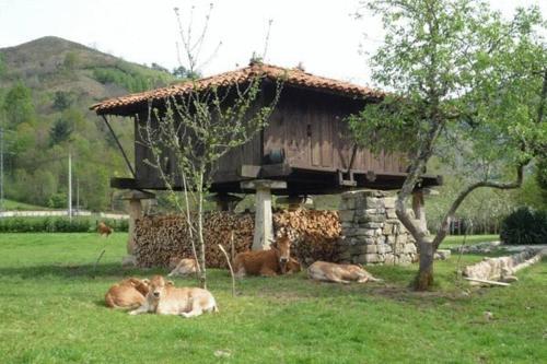 Foto general de Hotel Rural Sucuevas
