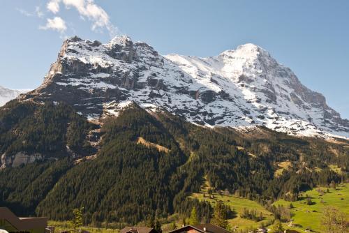 Surrounding area – Hotel Bernerhof Grindelwald