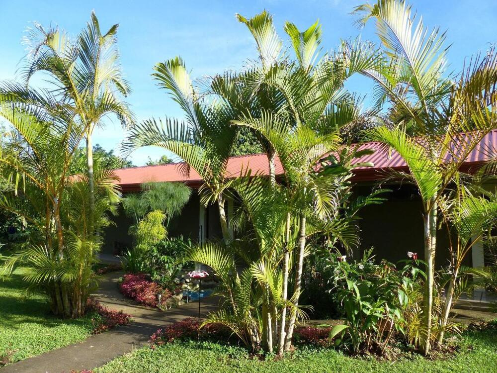 Exterior – B&amp;amp;B Garden Grecia