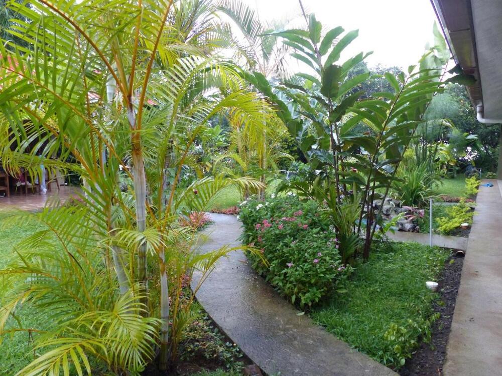 Exterior – B&amp;amp;B Garden Grecia