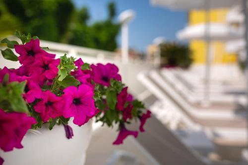 Foto general de International Beach Hotel