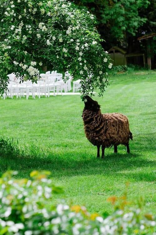 Foto del exterior de Bed-and-Breakfast Le Mouton