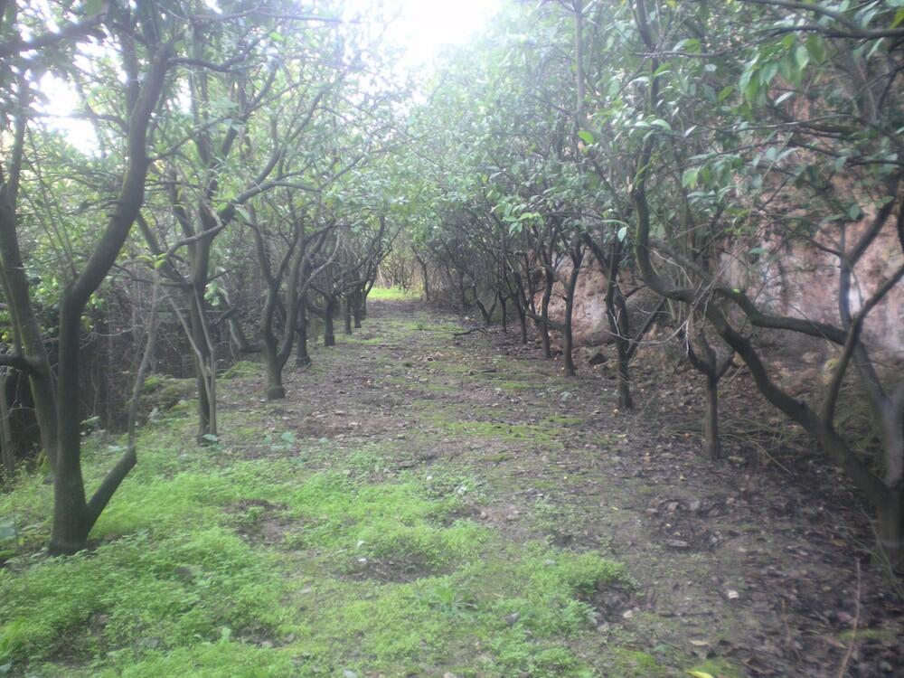 Foto del exterior de Centro de Naturaleza Cañada Verde