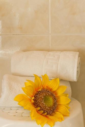Foto del baño de Hostal Siete Picos