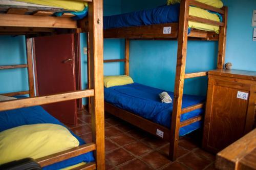 Foto de una habitación de Patagonia Jazz Hostel