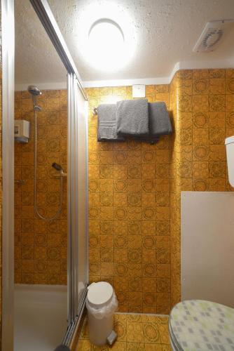 Foto del baño de Swiss Lodge Hotel Bernerhof