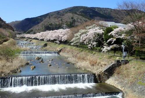 Foto general de Onsen &amp;amp; Garden -Asante Inn-