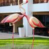 Foto de Flamingo Grand Hotel &amp; Spa